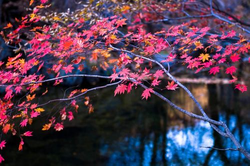 2048社区安装步骤示意图